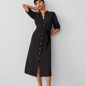 NWT Ann Taylor black belted shirt dress 12